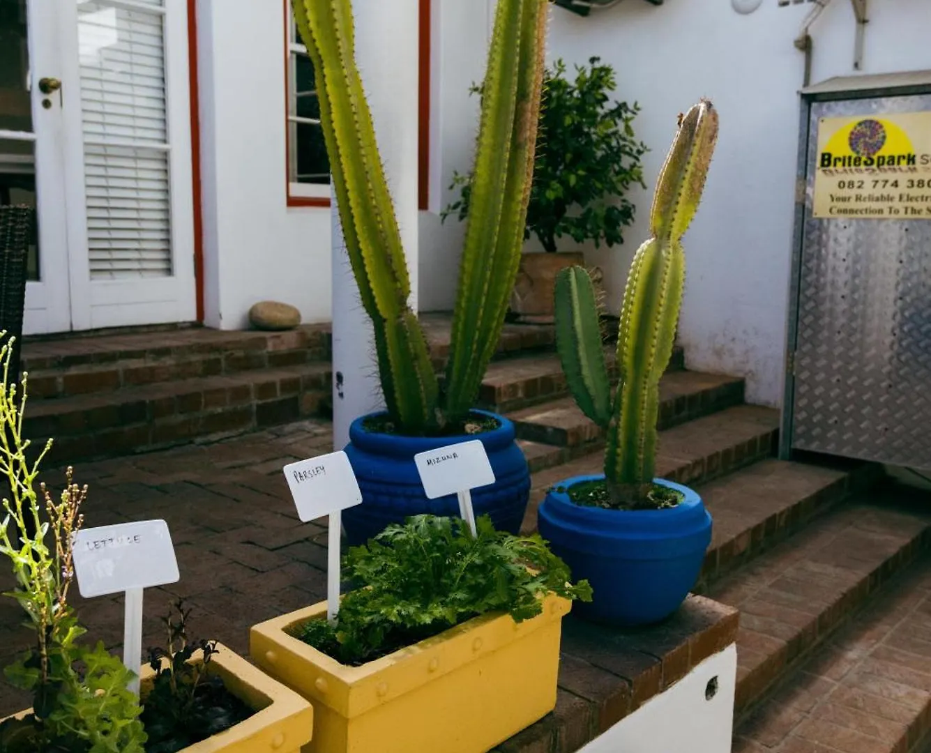 Hostal Villa Viva Ciudad del Cabo